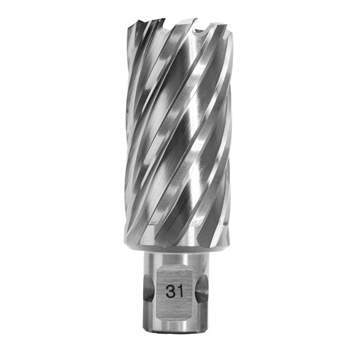 31 x 55mm HSS Annular Cutter